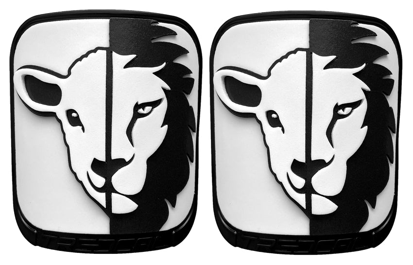 Lion and the Lamb image 0