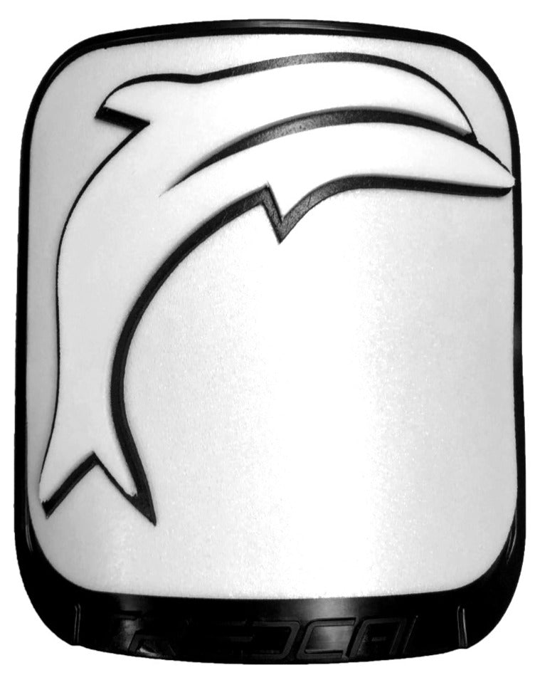 Single Dolphin image 0