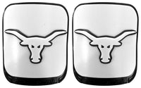 Longhorn image 0
