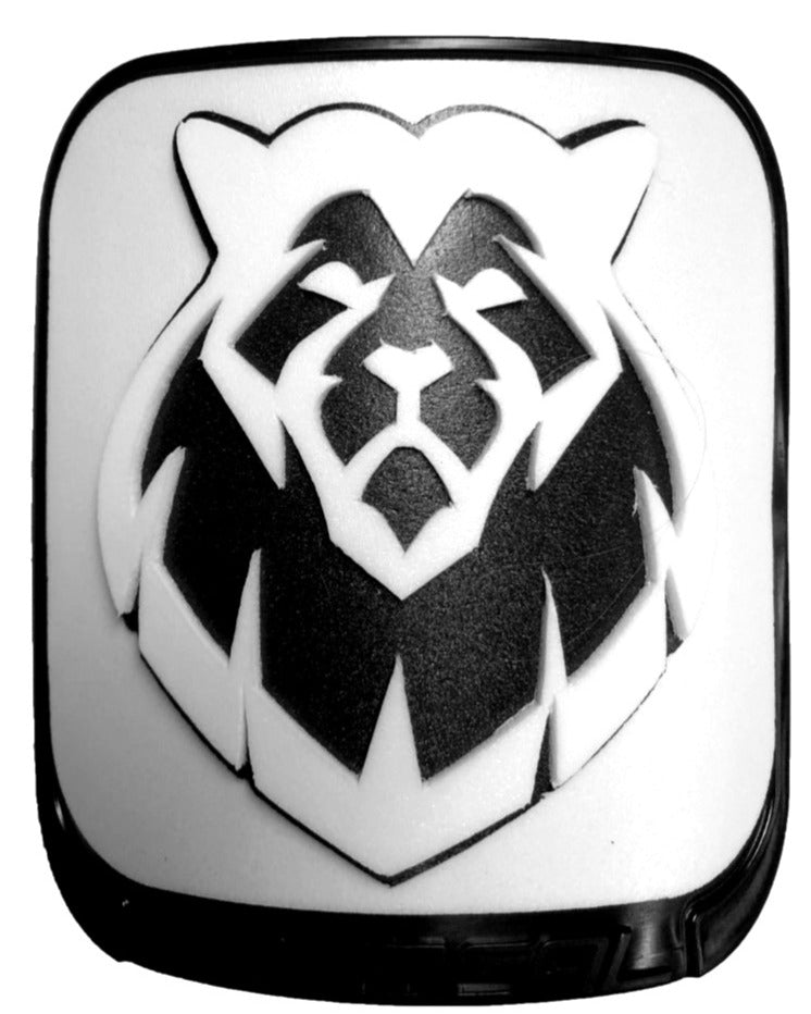 Single Lion image 0