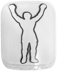 Single Champion image 0