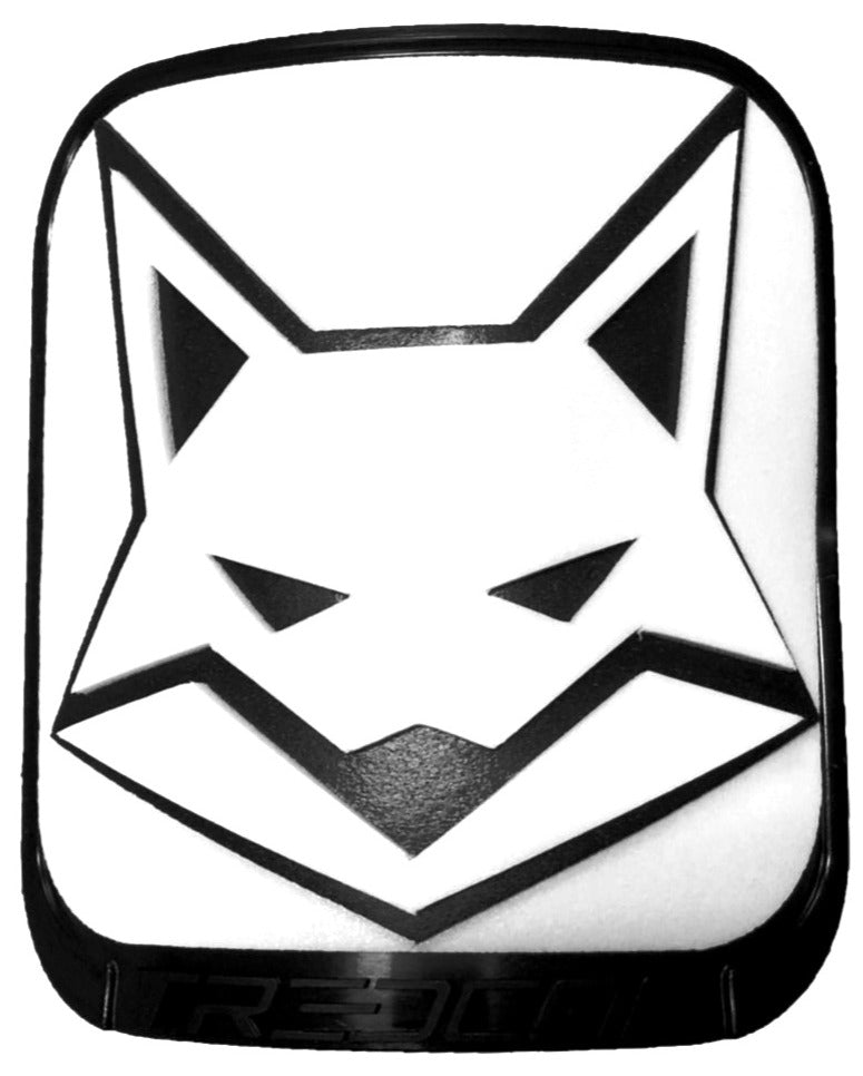 Single Fox image 0