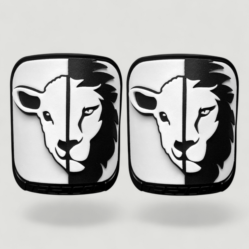 Lion and the Lamb
